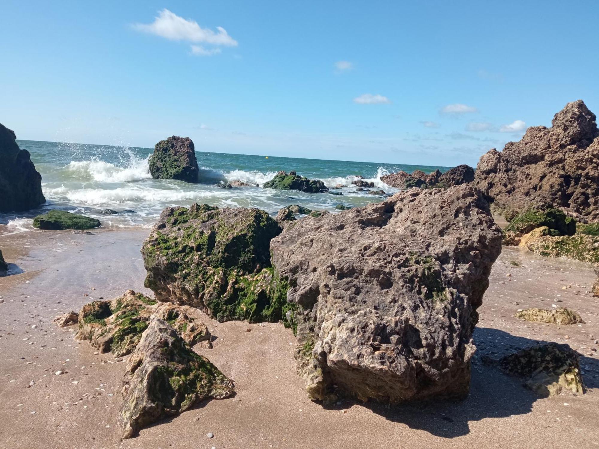 Appartement 45M2 - Proche Deauville - Vue Mer Bénerville-sur-Mer Esterno foto